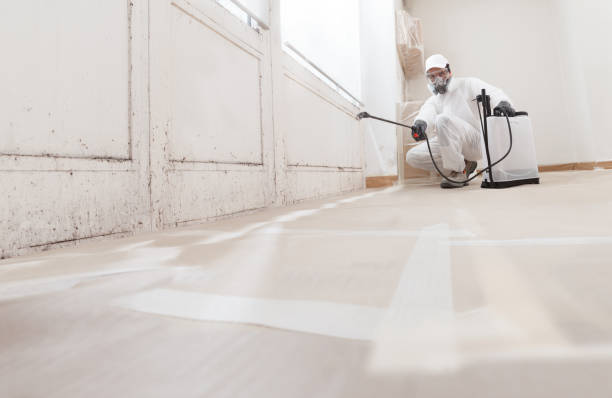 24/7 Emergency Mold Remediation experts in Midland, TX