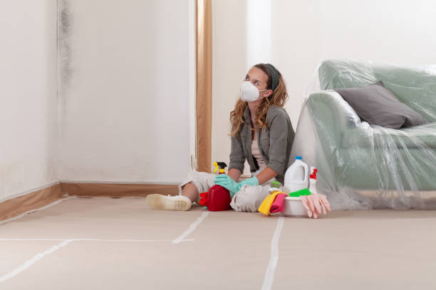 Reliable Mold Remediation contractor in Midland, TX by Mold Remediation HQ